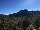 photo thumbnail #6