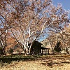 photo thumbnail #14