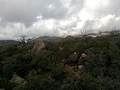 photo thumbnail #13