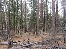 photo thumbnail #1