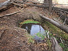 photo thumbnail #4