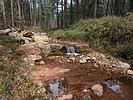 photo thumbnail #7