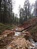 photo thumbnail #8