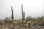 photo thumbnail #8