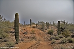photo thumbnail #9
