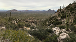 photo thumbnail #8