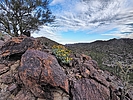 photo thumbnail #3