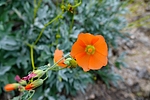 photo thumbnail #9