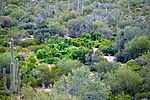 photo thumbnail #11
