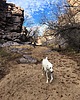 photo thumbnail #1