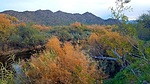 photo thumbnail #9