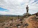 photo thumbnail #6