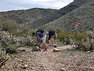 photo thumbnail #6