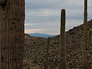 photo thumbnail #5
