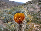 photo thumbnail #2