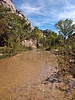 photo thumbnail #14