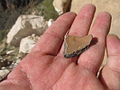 photo thumbnail #15