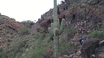photo thumbnail #5
