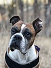 photo thumbnail #1