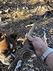 photo thumbnail #2
