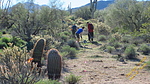 photo thumbnail #6