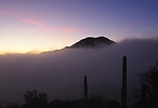 photo thumbnail #14