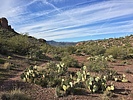 photo thumbnail #12