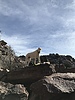 photo thumbnail #1