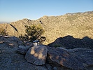 photo thumbnail #4