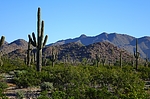 photo thumbnail #9