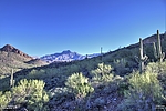 photo thumbnail #10