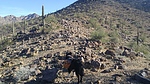 photo thumbnail #5