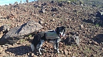 photo thumbnail #6