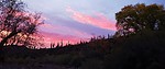 photo thumbnail #6