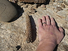photo thumbnail #1