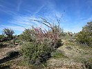 photo thumbnail #5