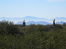 photo thumbnail #8