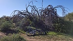 photo thumbnail #5
