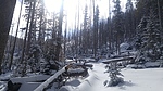 photo thumbnail #5