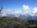 photo thumbnail #3