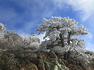 photo thumbnail #6