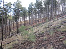 photo thumbnail #11