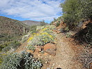 photo thumbnail #6