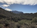 photo thumbnail #12