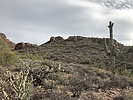 photo thumbnail #13