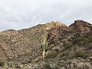 photo thumbnail #14