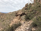 photo thumbnail #7