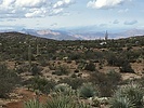 photo thumbnail #6
