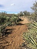 photo thumbnail #5