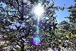 photo thumbnail #11